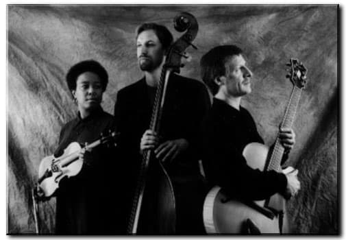 S3NY trio portrait with violin, upright bass, and guitar